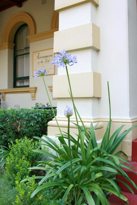 Avonmore On The Park Boutique Hotel - Accommodation Georgetown 15