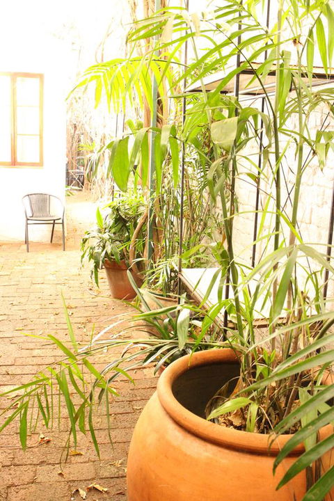 Newtown Cozy Stays - Accommodation Georgetown 10