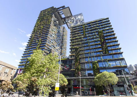 Comfortable Apartment In Central Sydney - Accommodation Georgetown 10