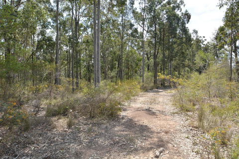 JE Guesthouse, Central To All The Hunter Valley Has To Offer - Accommodation Georgetown 44
