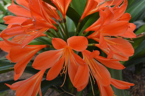 JE Guesthouse, Central To All The Hunter Valley Has To Offer - Accommodation Georgetown 39