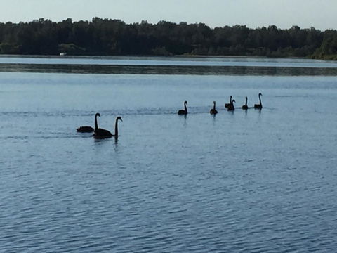 Swan Bay Hideaway - Accommodation Georgetown 7