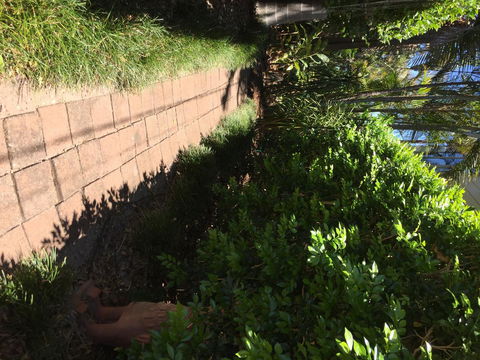 Swan Bay Hideaway - Accommodation Georgetown 6