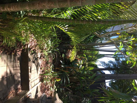 Swan Bay Hideaway - Accommodation Georgetown 9