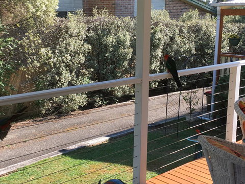 The Best Exotic Magnolia Cottage - Accommodation Georgetown 15