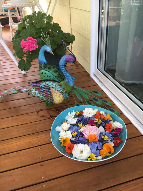 The Best Exotic Magnolia Cottage - Accommodation Georgetown 8