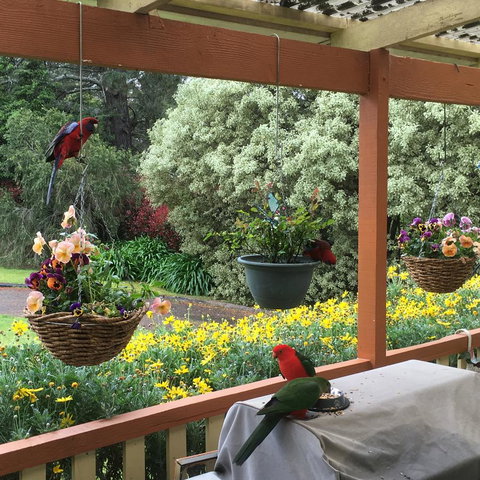 The Best Exotic Magnolia Cottage - Accommodation Georgetown 33