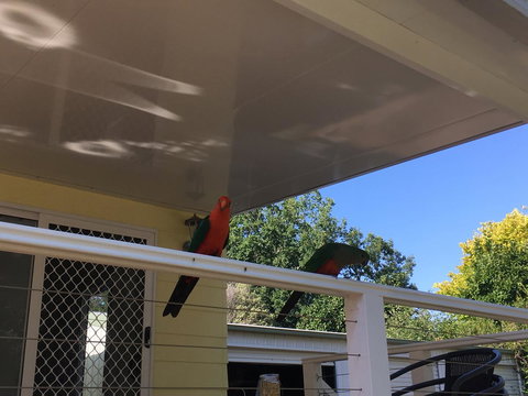 The Best Exotic Magnolia Cottage - Accommodation Georgetown 11