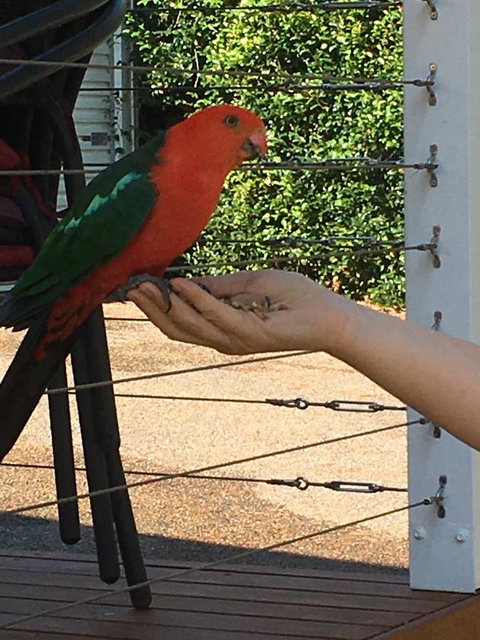 The Best Exotic Magnolia Cottage - Accommodation Georgetown 13