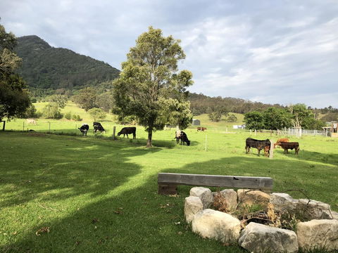 Arcadia - The Barn Cottage & Rosehill Cottage - Accommodation Georgetown 29