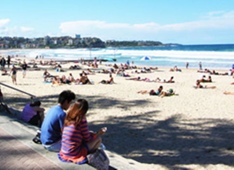 Manly Beachside Apartments - Accommodation Georgetown 19