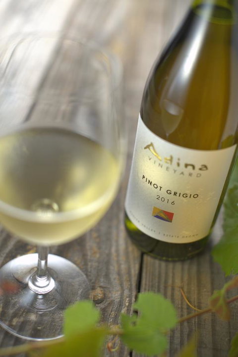 Adina Vineyard - Accommodation Georgetown 7