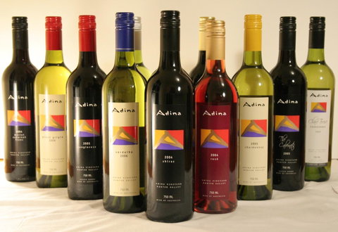 Adina Vineyard - Accommodation Georgetown 20