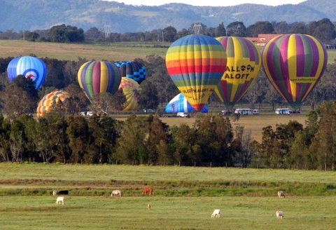 Adina Vineyard - Accommodation Georgetown 9