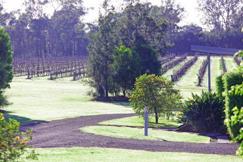 Adina Vineyard - Accommodation Georgetown 14
