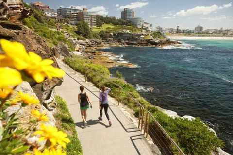 Right On Bondi - Accommodation Georgetown 11