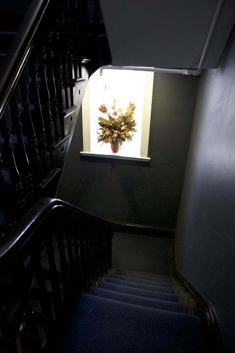 Bayswater Boutique Lodge - Accommodation Georgetown 24