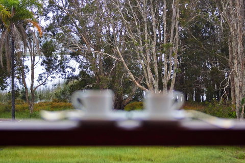 Estoy Cabarita - Accommodation Georgetown 6