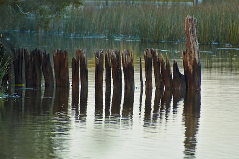 Estoy Cabarita - Accommodation Georgetown 7