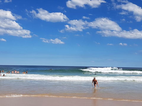 Arena Luxury Beachfront Apartment - Accommodation Georgetown 3
