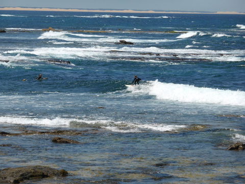 Arena Luxury Beachfront Apartment - Accommodation Georgetown 26