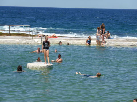 Arena Luxury Beachfront Apartment - Accommodation Georgetown 33