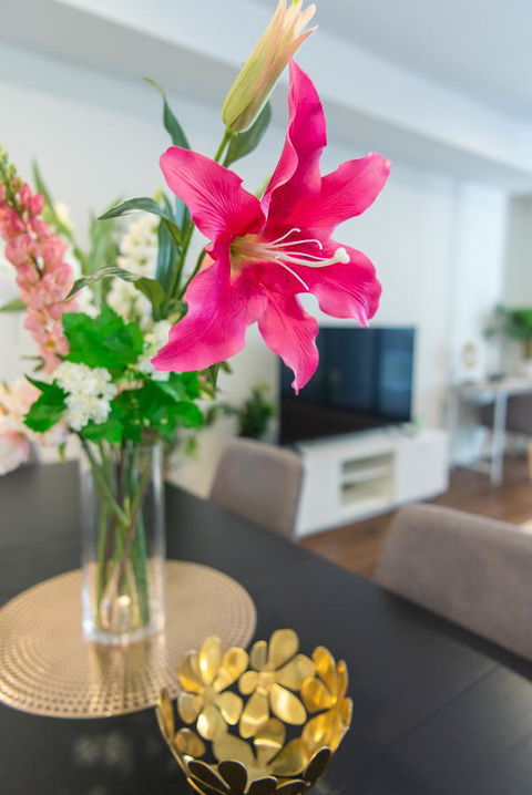 Sydney CBD Brand New Apartments With Hyde Park View - Accommodation Georgetown 6