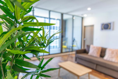 Sydney CBD Brand New Apartments With Hyde Park View - Accommodation Georgetown 5