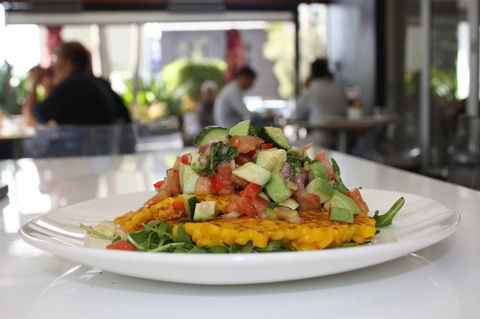 Hotel Urban St Leonards - Accommodation Georgetown 19
