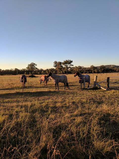 Madigan Wine Country Cottages - Accommodation Georgetown 8