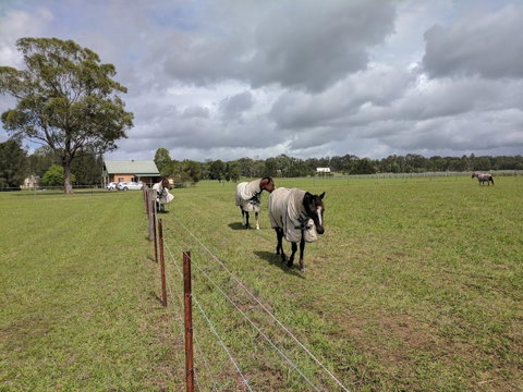 Madigan Wine Country Cottages - Accommodation Georgetown 9