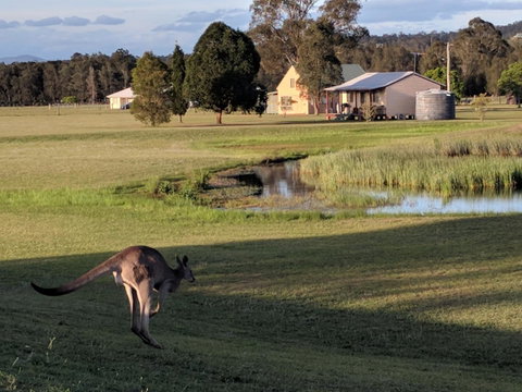 Madigan Wine Country Cottages - Accommodation Georgetown 6