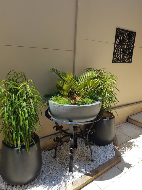 Private Room - Luxury Mosman Home - Accommodation Georgetown 33