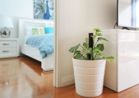Sydney Apartment Close To Airport & CBD - Accommodation Georgetown 7