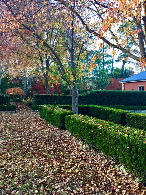 Chanticleer Gardens Barn Cottage With A Pool - Accommodation Georgetown 37