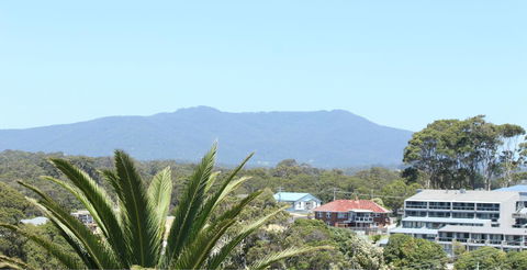 Narooma Palms Holiday Apartments - Accommodation Georgetown 4