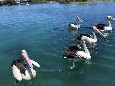 Centrepoint 10 - Accommodation Georgetown 8