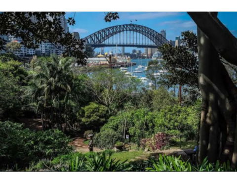 North Sydney Historic Whalers Cottage - Accommodation Georgetown 12