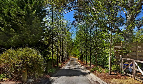 Bundanoon Lodge - Accommodation Georgetown 21