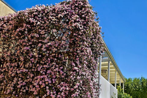 Bundanoon Lodge - Accommodation Georgetown 13