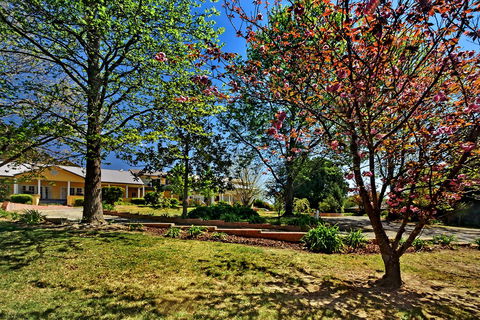 Bundanoon Lodge - Accommodation Georgetown 16