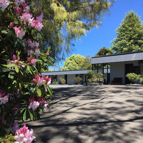 Sky Rider Motor Inn - Accommodation Georgetown 14