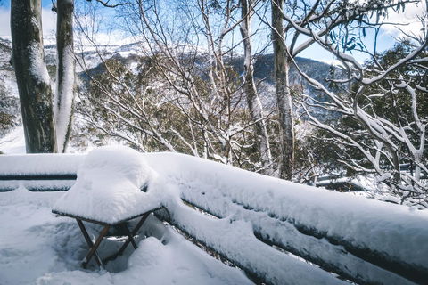 Pure Chalet Thredbo - Accommodation Georgetown 19