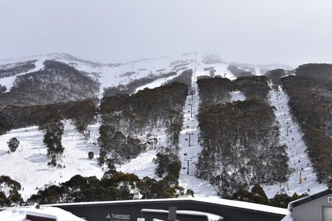 Pure Chalet Thredbo - Accommodation Georgetown 6