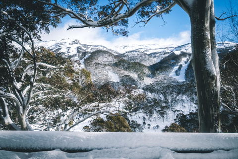 Pure Chalet Thredbo - Accommodation Georgetown 2