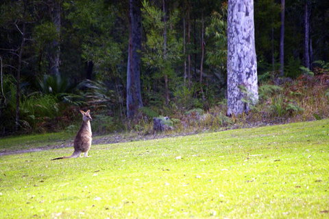 Jackson Ranch By Bannisters - Accommodation Georgetown 31