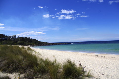 Jackson Ranch By Bannisters - Accommodation Georgetown 32