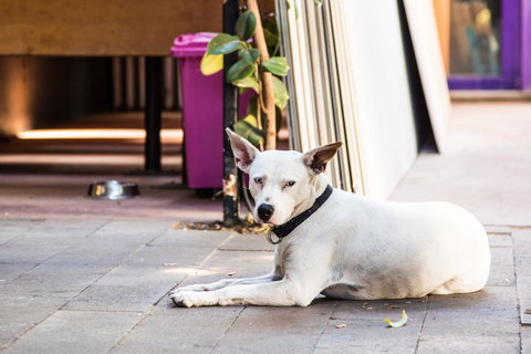 Jump Inn Alice Budget Accommodation - Accommodation Georgetown 43