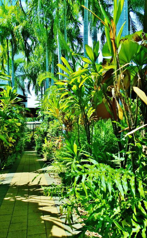 Palms City Resort - Accommodation Georgetown 14