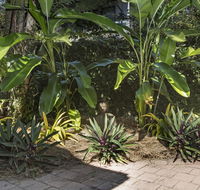 Nineteen on Nudl - Accommodation Georgetown